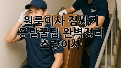 원룸이사 짐싸기📦 용달꿀팁🍯 완벽정리! #소량이사