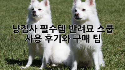 냥집사 필수템! 반려묘 스쿱 사용 후기와 구매 팁
