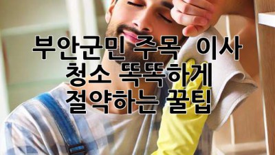 부안군민 주목! ✨ 이사 청소 똑똑하게 절약하는 꿀팁 🍯
